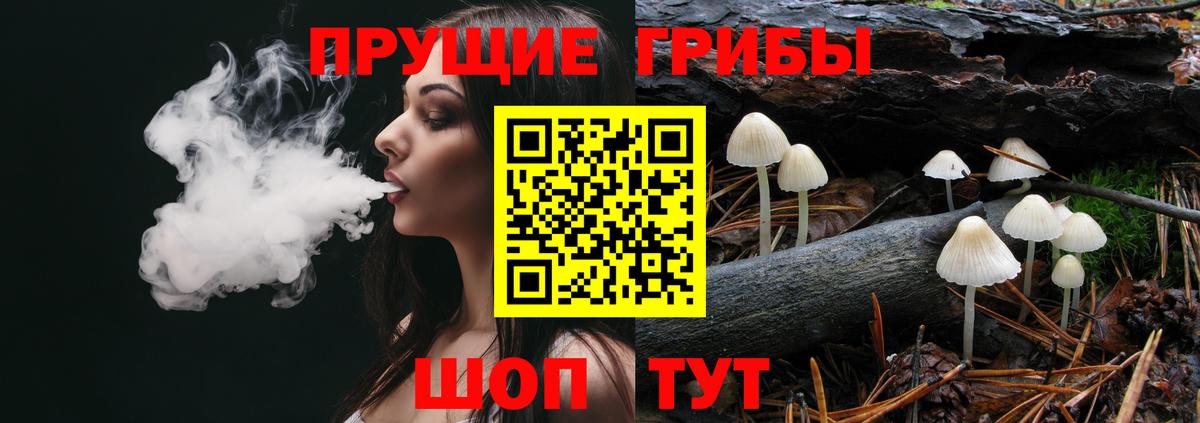 Галлюциногенные грибы мухоморы  Псилоцибиновые грибы Cubensis  Заволжье  Вход с VPN 
